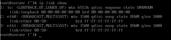 P2V Linux server network config - Virtualization Howto