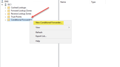 Creating a new conditional forwarder in Microsoft DNS server