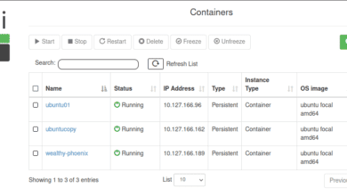 Using LXDUI to view containers on an LXC container host