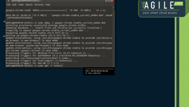 Installing Chrome in the Ubuntu Mate environment of Praim Agile4Linux
