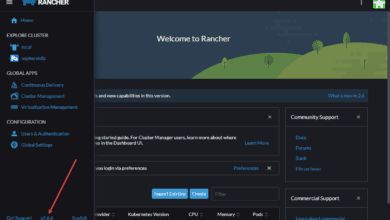 Viewing the current version of rancher docker container