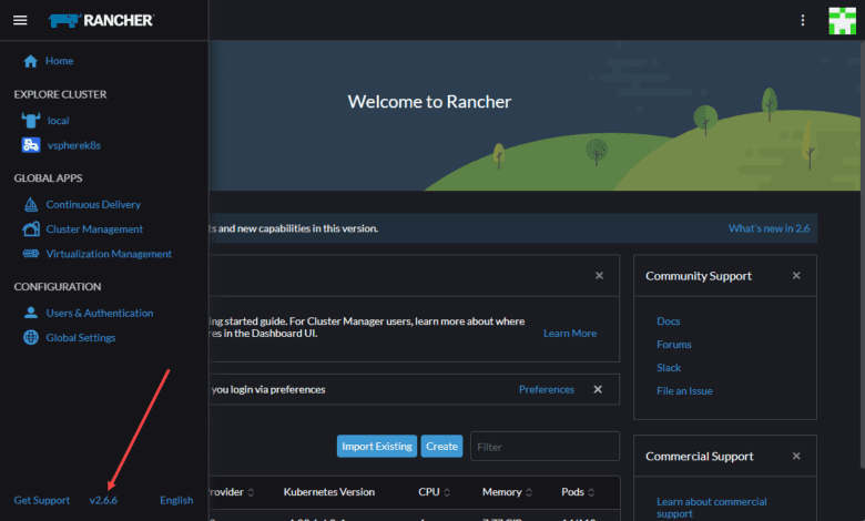 Viewing the current version of rancher docker container