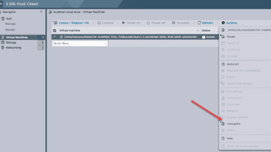 Removing the vcls vm in the esxi host client