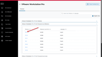 Select vmware workstation version 17.6