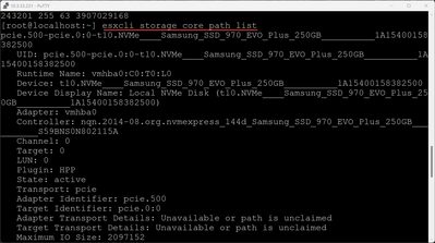 get the nvme disk identifier