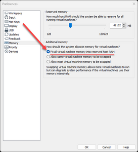 fit all virtual machine memory into reserved host ram