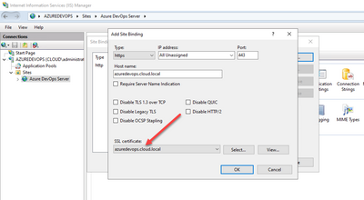 adding the self signed certificate binding in iis for azure devops server