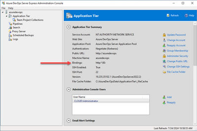 viewing the default binding configuration for azure devops server